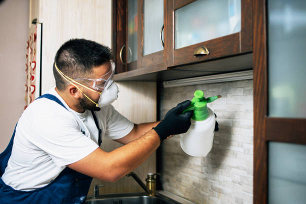 Best Mosquito Control Services  in Brock Hall, MD