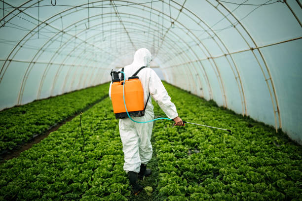 Best Commercial Pest Control Services  in Brock Hall, MD