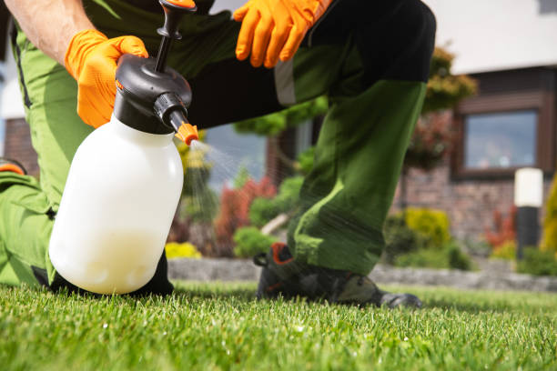 Best Emergency Pest Control  in Brock Hall, MD