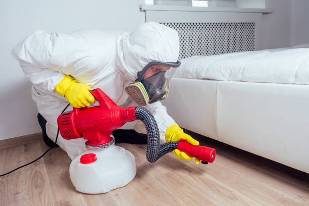 Pest Prevention Services in Brock Hall, MD